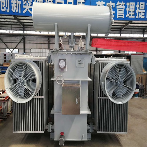 汝阳S20-8000KVA变压器